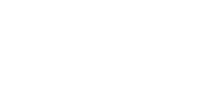Logo MLF